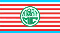 MIC flag